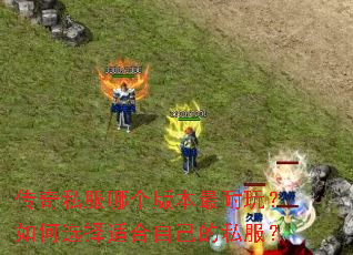 ����˽���ĸ��汾�����棿���ѡ���ʺ��Լ���˽����