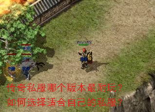����˽���ĸ��汾�����棿���ѡ���ʺ��Լ���˽����