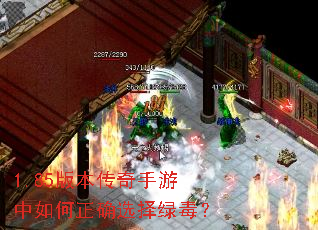 1.85�汾���������������ȷѡ���̶���