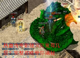 ��Ѫ�������ö������м��㣿�������Դ������