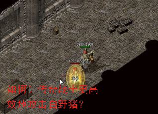 ����ô���սʿ����Ч�ع�����Ұ����