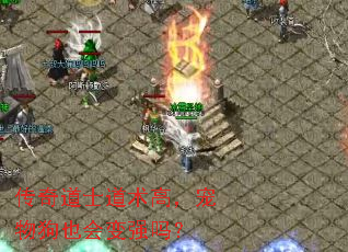 传奇道士道术高,宠物狗也会变强吗? 传奇道士道术高,宠物狗也会变强吗?