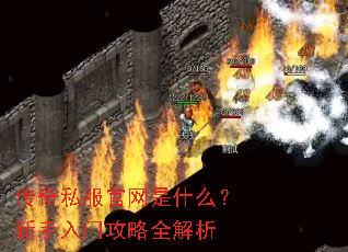 ����˽��������ʲô���������Ź���ȫ����