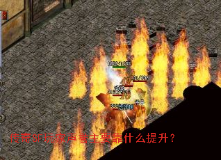 ����SF���������Ҫ��ʲô������