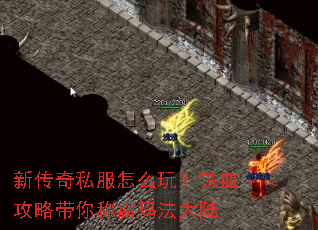 �´���˽����ô�棿��Ѫ���Դ���ư��귨��½