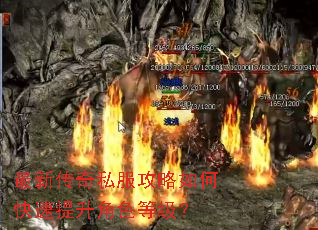 ���´���˽��������ο���������ɫ�ȼ���