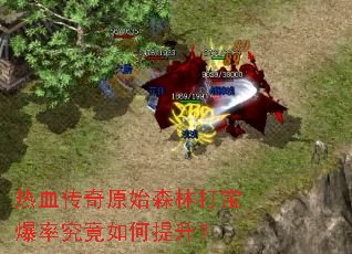 ��Ѫ����ԭʼɭ�ִ򱦱��ʾ������������